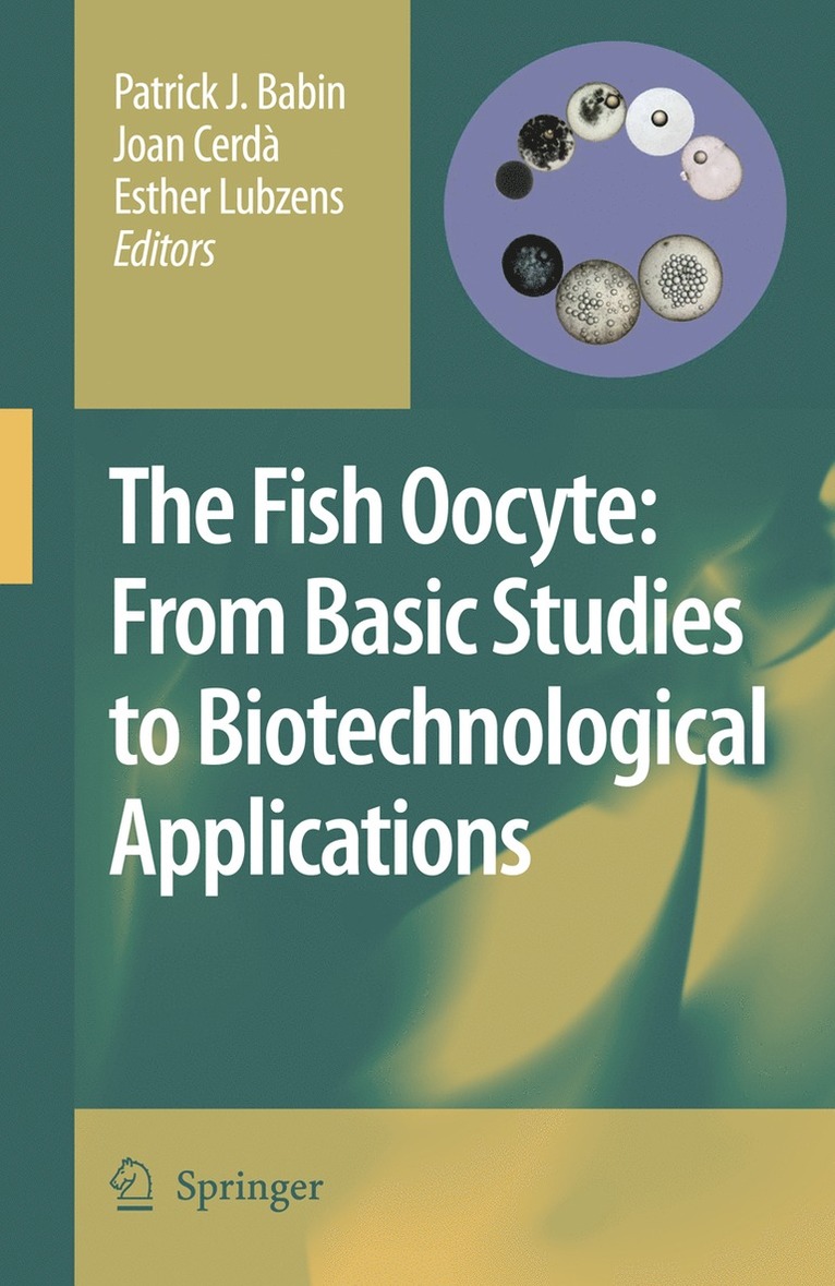 The Fish Oocyte 1