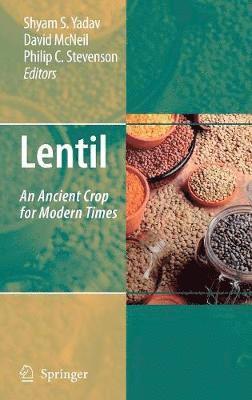 Lentil 1