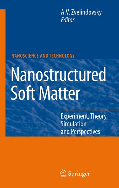 A.V. Zvelindovsky, A.V. Zvelindovsky - Nanostructured Soft Matter, Inbunden