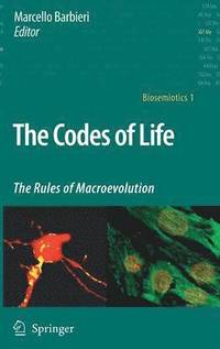 bokomslag The Codes of Life