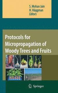 bokomslag Protocols for Micropropagation of Woody Trees and Fruits