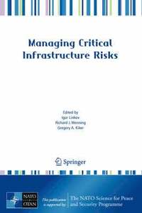 bokomslag Managing Critical Infrastructure Risks
