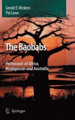 bokomslag The Baobabs: Pachycauls of Africa, Madagascar and Australia