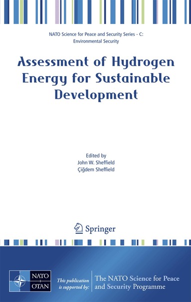 John W. Sheffield, Çigdem Sheffield - Assessment of Hydrogen Energy for Sustainable Development, Inbunden