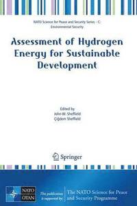 bokomslag Assessment of Hydrogen Energy for Sustainable Development