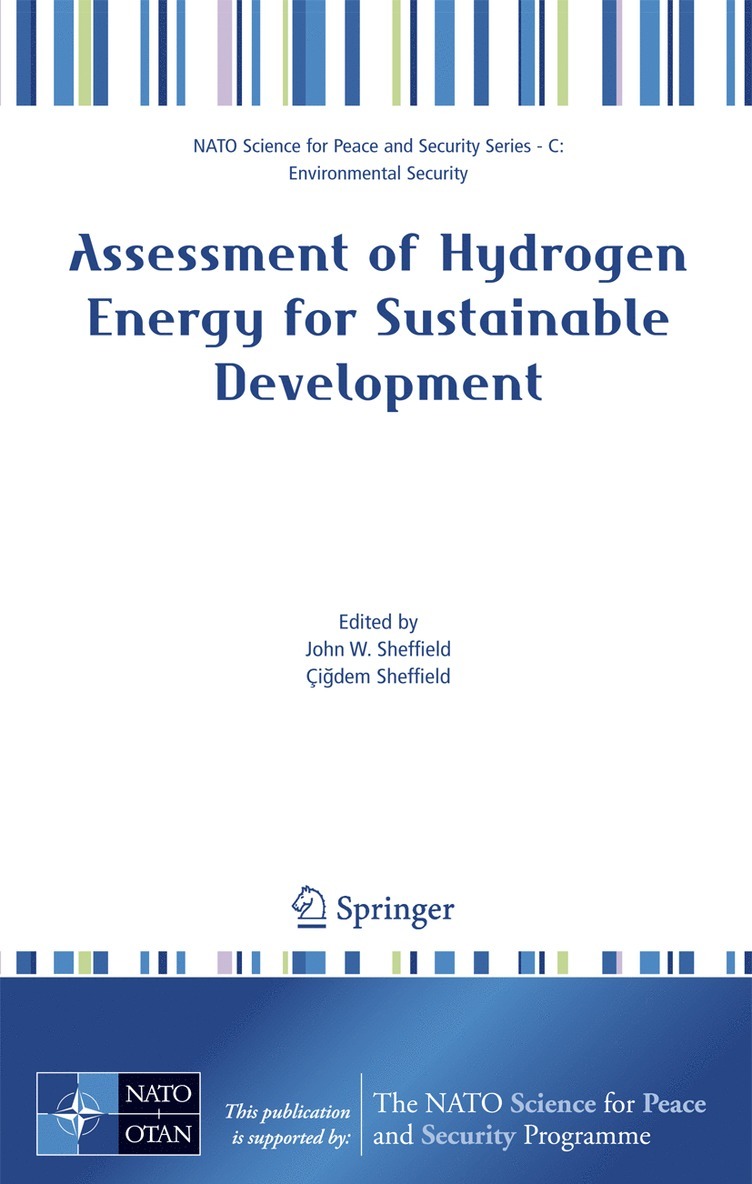 John W. Sheffield, Çigdem Sheffield - Assessment of Hydrogen Energy for Sustainable Development, Häftad