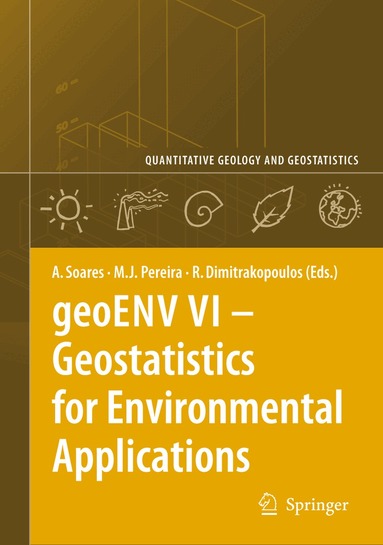 Amílcar Soares, Maria João Pereira, Roussos Dimitrakopoulos - geoENV VI – Geostatistics for Environmental Applications, Inbunden