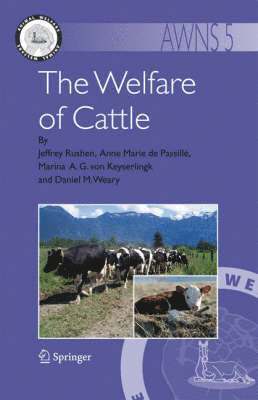 The Welfare of Cattle 1