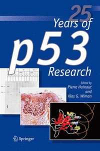 bokomslag 25 Years of p53 Research
