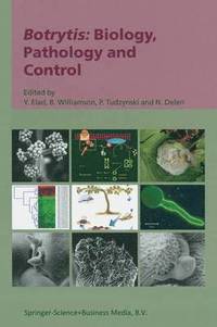 bokomslag Botrytis: Biology, Pathology and Control