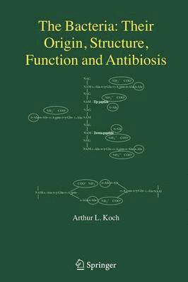 bokomslag Bacteria: Their Origin, Structure, Function and Antibiosis