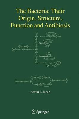 bokomslag The Bacteria: Their Origin, Structure, Function and Antibiosis