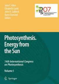 bokomslag Photosynthesis. Energy from the Sun