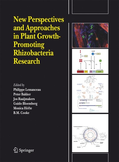 bokomslag New Perspectives and Approaches in Plant Growth-Promoting Rhizobacteria Research