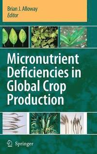 bokomslag Micronutrient Deficiencies in Global Crop Production