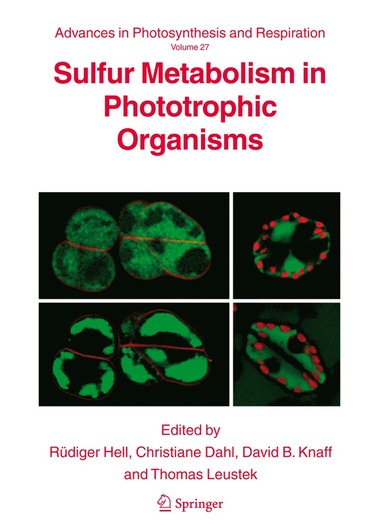 bokomslag Sulfur Metabolism in Phototrophic Organisms