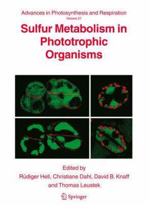 Sulfur Metabolism in Phototrophic Organisms 1