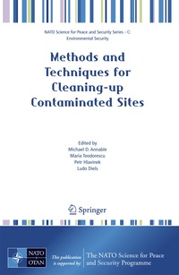 bokomslag Methods and Techniques for Cleaning-up Contaminated Sites