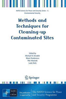 bokomslag Methods and Techniques for Cleaning-up Contaminated Sites