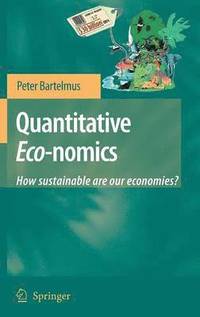 bokomslag Quantitative Eco-nomics