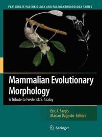 bokomslag Mammalian Evolutionary Morphology