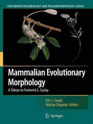 bokomslag Mammalian Evolutionary Morphology