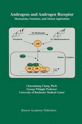 bokomslag Androgens and Androgen Receptor