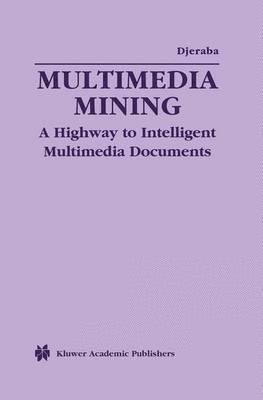 bokomslag Multimedia Mining