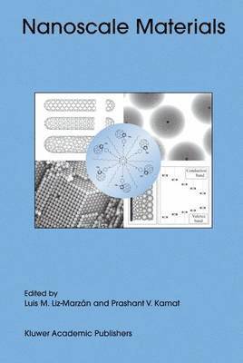 bokomslag Nanoscale Materials