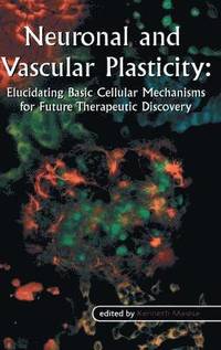 bokomslag Neuronal and Vascular Plasticity