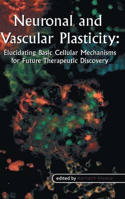 Kenneth Maiese, Kenneth Maiese - Neuronal and Vascular Plasticity, Inbunden