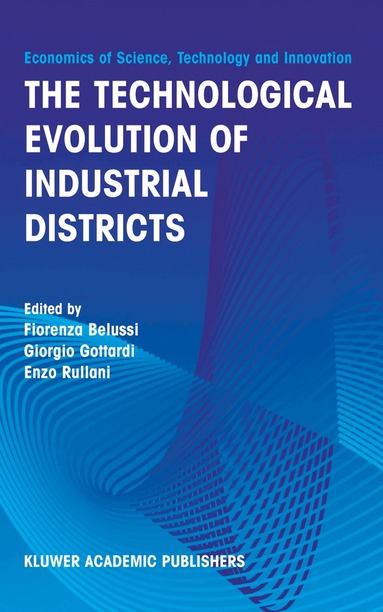 Fiorenza Belussi, Giorgio Gottardi, Enzo Rullani - Technological Evolution of Industrial Districts, Inbunden