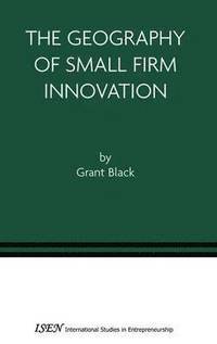 bokomslag Geography of Small Firm Innovation