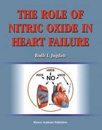 bokomslag Role of Nitric Oxide in Heart Failure