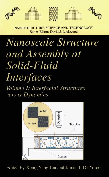 bokomslag Nanoscale Structure and Assembly at Solid-Fluid Interfaces