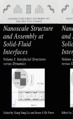 Nanoscale Structure and Assembly at Solid-Fluid Interfaces