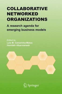 Luis M. Camarinha-Matos, Hamideh Afsarmanesh - Collaborative Networked Organizations, Inbunden