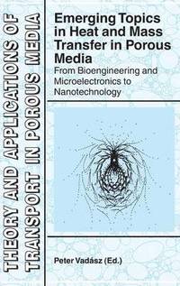 bokomslag Emerging Topics in Heat and Mass Transfer in Porous Media