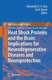 bokomslag Heat Shock Proteins and the Brain: Implications for Neurodegenerative Diseases and Neuroprotection