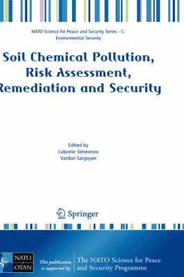 bokomslag Soil Chemical Pollution, Risk Assessment, Remediation and Security