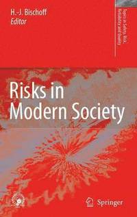 bokomslag Risks in Modern Society