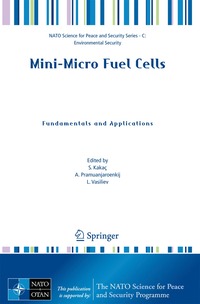 bokomslag Mini-Micro Fuel Cells