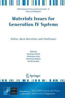 bokomslag Materials Issues for Generation IV Systems