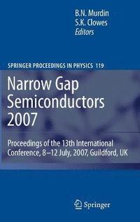 bokomslag Narrow Gap Semiconductors 2007