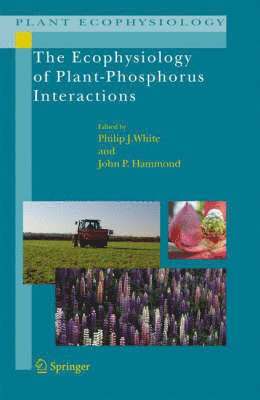 Philip J. White, John P. Hammond - Ecophysiology of Plant-Phosphorus Interactions, Inbunden