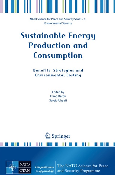 bokomslag Sustainable Energy Production and Consumption