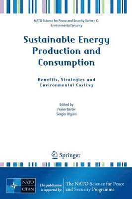 Frano Barbir, Sergio Ulgiati - Sustainable Energy Production and Consumption, Häftad