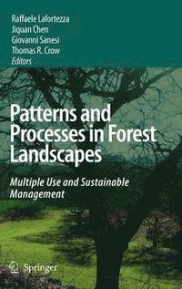 bokomslag Patterns and Processes in Forest Landscapes