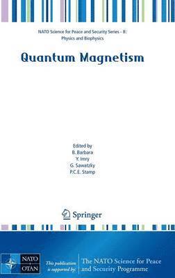 Quantum Magnetism 1