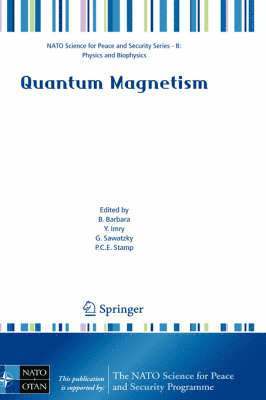 Quantum Magnetism 1